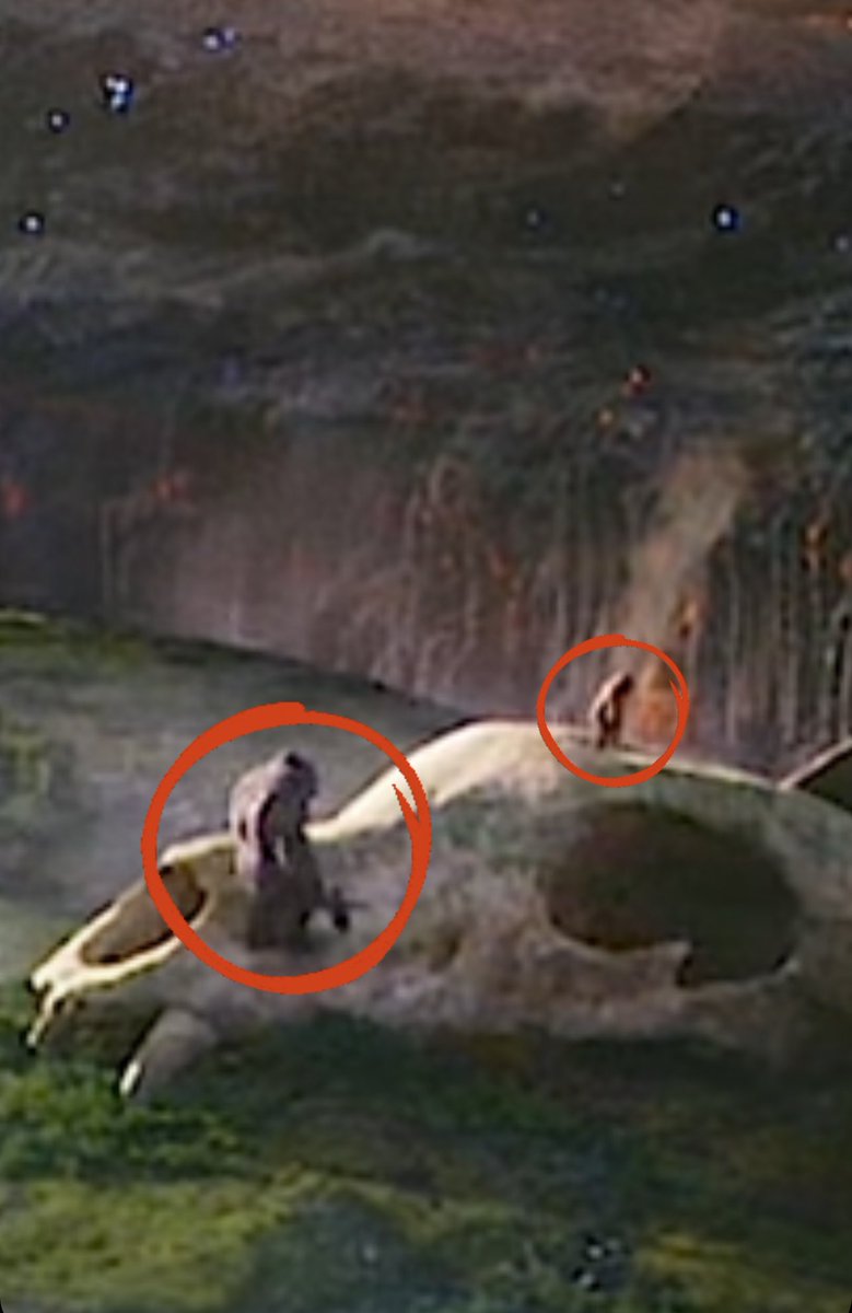 Mr. Goji  tweet media