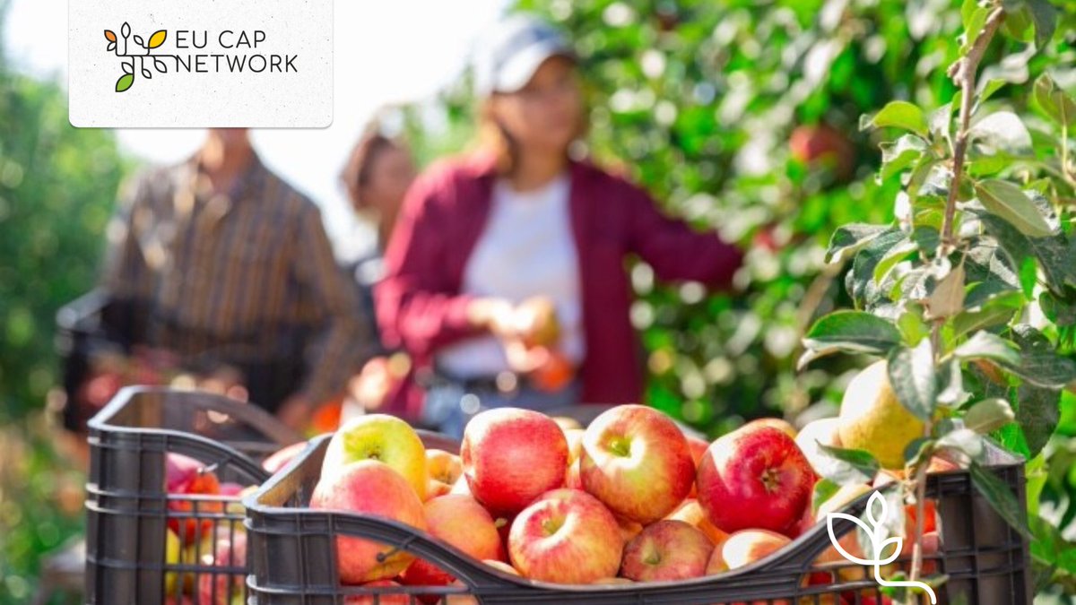 How to support #socialfarmers in their work with different target groups? 👨‍🌾👩‍🌾  

<a href="/EUErasmusPlus/">Erasmus+</a> #SoFarTeam project has published multilingual guides to help them work more confidently and effectively with people of different backgrounds

👉 bit.ly/3PzKoTr