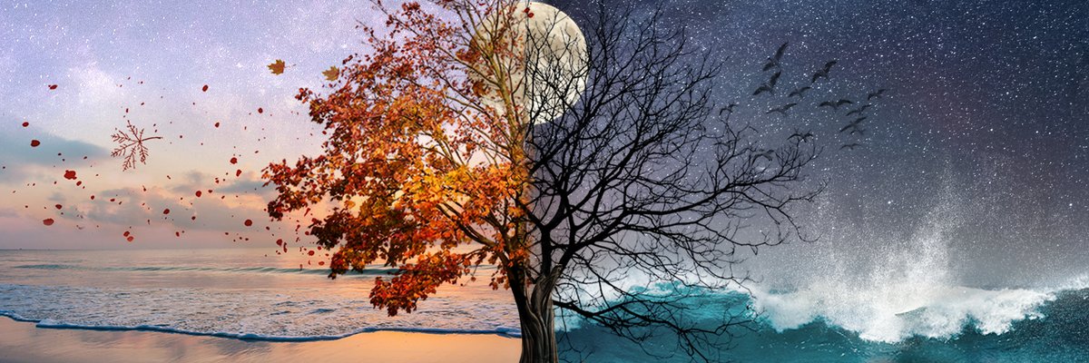 Crypto.com NFT tweet media