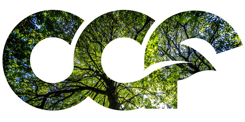 You can read all our latest news here: clydeclimateforest.co.uk/news Or even better, get the news in your inbox by signing up with just your name and email: clydeclimateforest.co.uk/sign-up