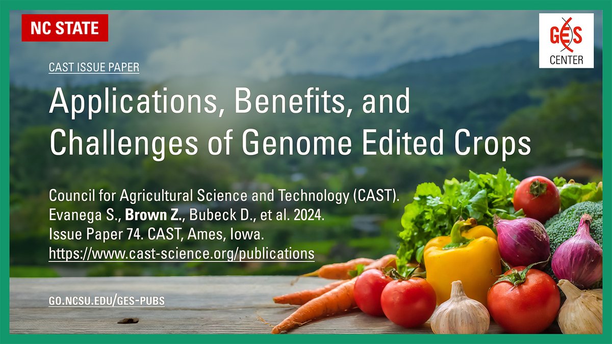 Exciting new issue paper just published by @castagscience 'Applications, Benefits, and Challenges of Genome Edited Crops,' chaired by @Sarah_Evanega and co-authored by Zack Brown @TheKazath from the GES Center, online at cast-science.org/publication/ap…