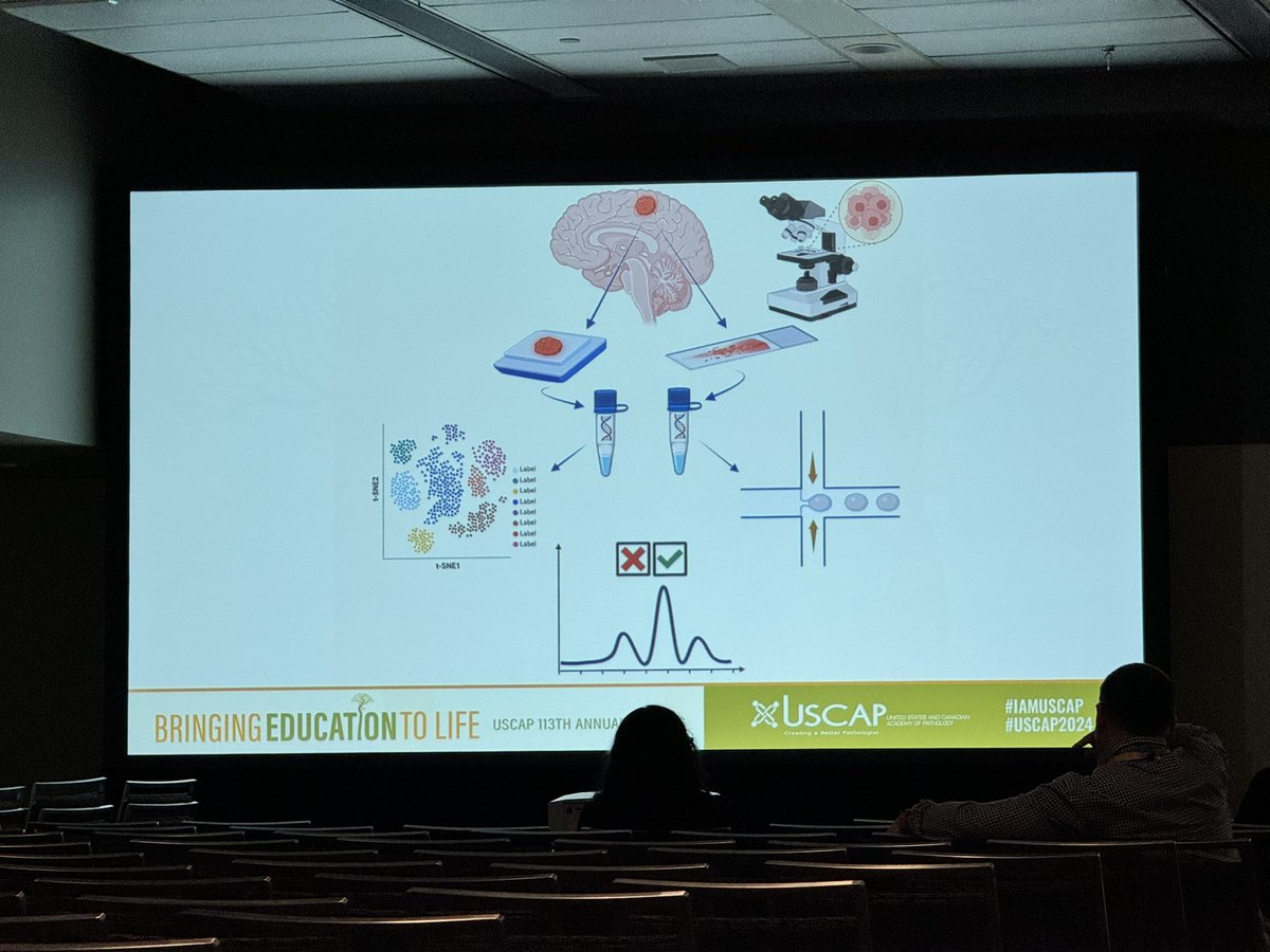 Our @NU_Pathology #Nueropathologist @PJamshidi_MD gave a superb platform at the #Quality & #Safety session at #USCAP2024 this morning, sharing our experience with using intraop smears to determine MGMT methylation status in diffuse gliomas! @DanielJBrat