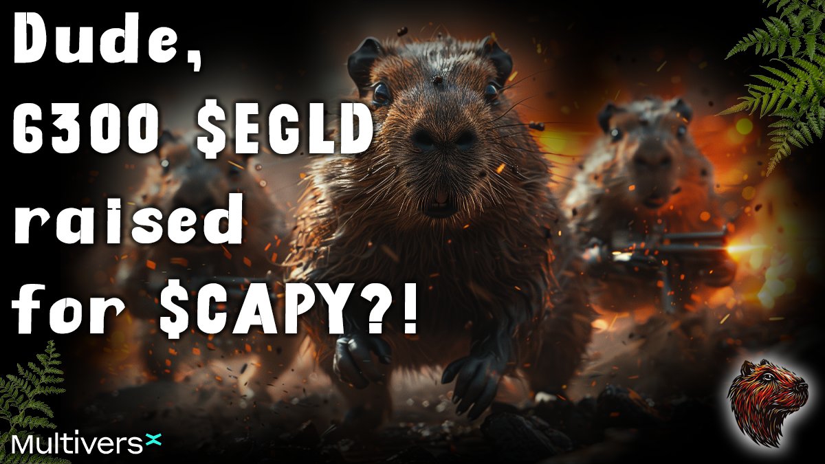 CAPY | e/acc tweet media