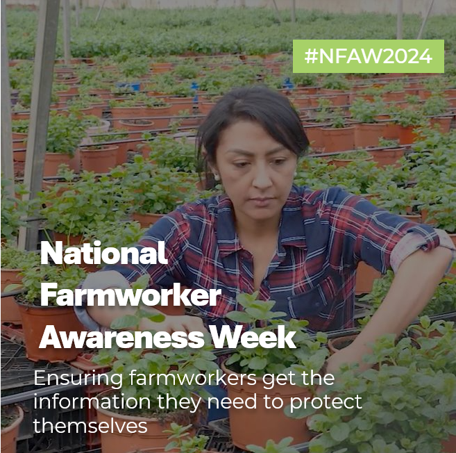 One way @EPA supports farmworkers is by funding the Pesticide Educational Resources Collaborative. Projects funded by @PercPesticide ensure farmworkers get the information they need to protect themselves. Learn more: pesticideresources.org #NFAW2024