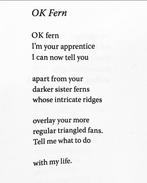 boneless_koi's tweet photo. best poem of all time. it's by maureen n. mclane. i tattooed OK FERN on my thigh a few years ago and i need to touch it up soon. :) https://t.co/4u4KVQip2z