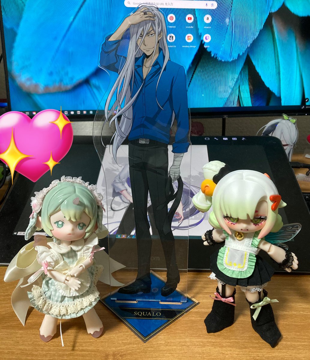 近況としましてはかわいこちゃん達とクソでかいスクアーロが我が家に来ました