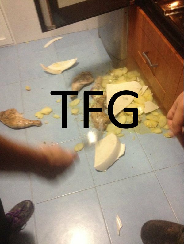 GatitoJoseos's tweet image. Nos acabamos de quedar sin TFG de cocina