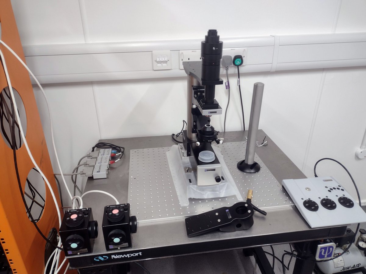 Day 1 of assembly of a @Scientifica_Int Slicescope Pro 1000 in the @nmoclab @DurhamPsych @durham_uni.

#electrophysiology #patchclamp #neuroscience