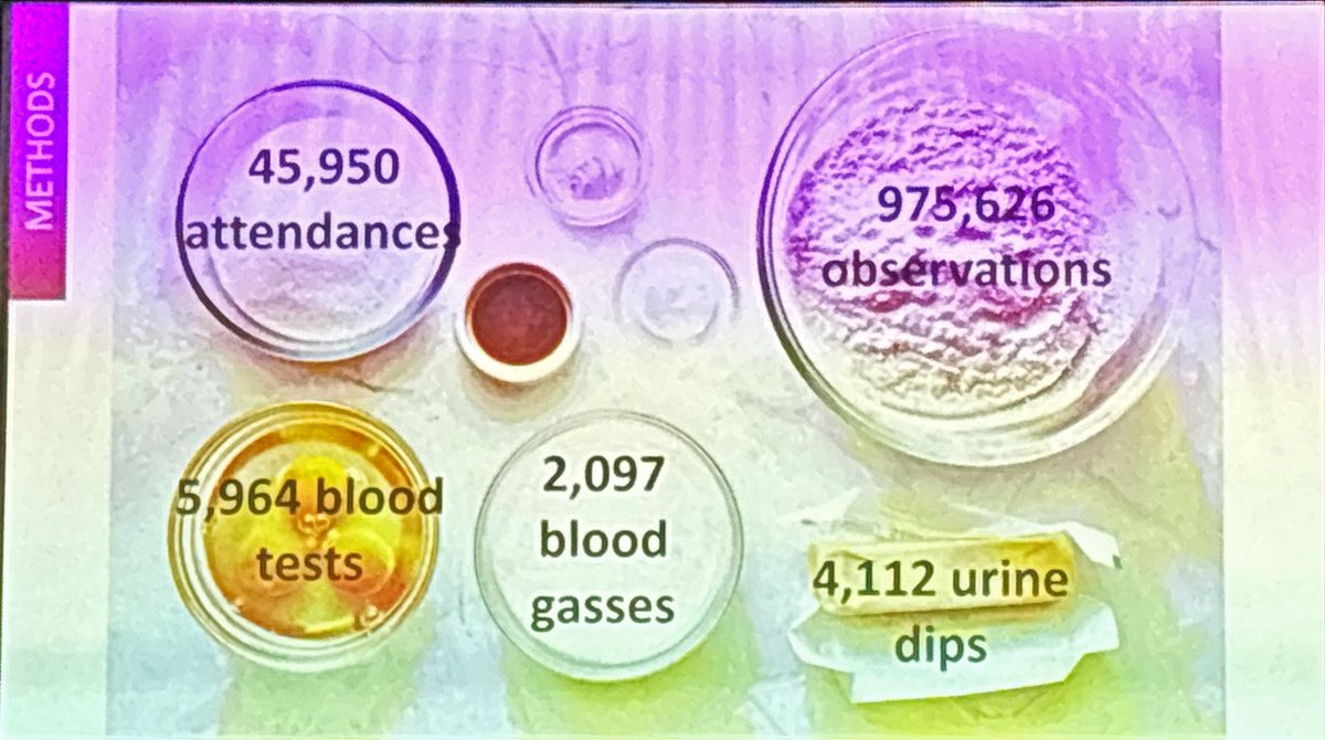 Seb Gray tweet media