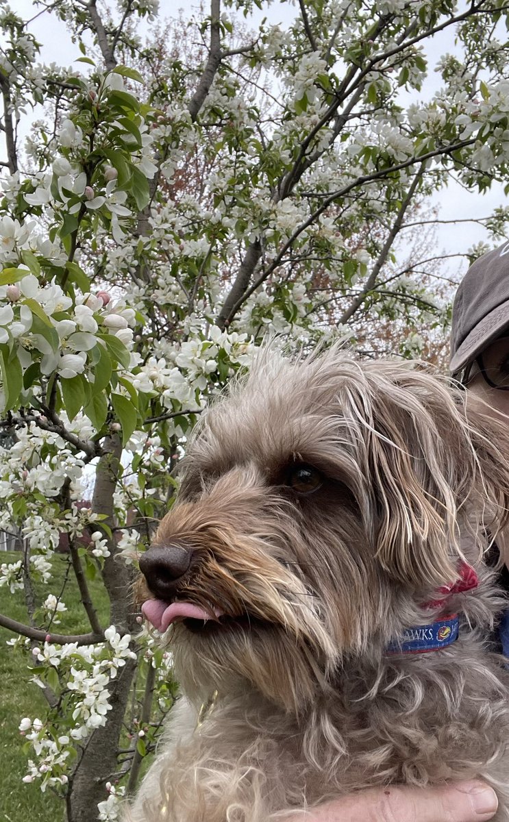 Happy #TongueOutTuesday #TOT Pals! #Spring
