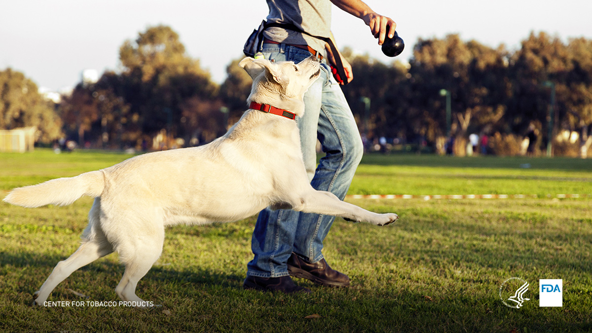 Secondhand smoke could be harmful to children and pets. 👶🐕 Help protect your family by staying smoke-free. fda.gov/tobacco-produc…