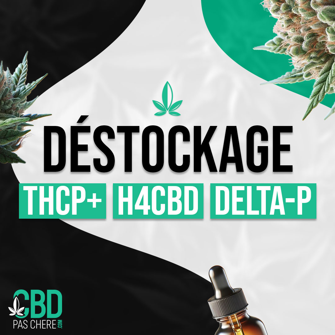 cbdpaschere's tweet photo. 🚀 DESTOCKAGE PROLONGÉ sur https://t.co/zXQzjG1Wey ! 🌿 Profitez des gammes THCP+, H4CBD, & DELTA-P à prix cassés jusqu'à épuisement des stocks. Ne ratez pas cette occasion ! ➡️ https://t.co/lgbxrkOOsq #CBD #THCP #H4CBD #DeltaP #Promo #Destockage #SantéNaturelle https://t.co/eLo4KF18vo