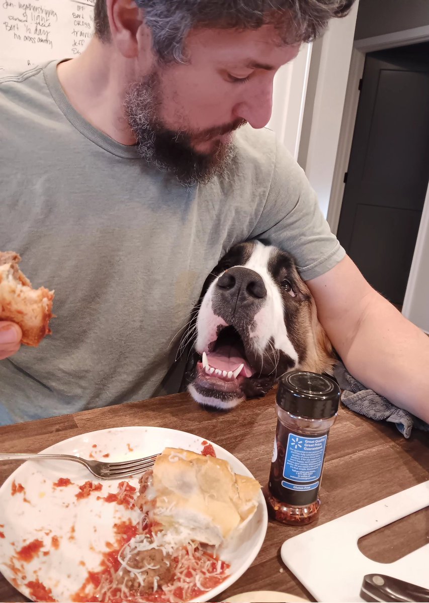 introvertedpnw's tweet image. I ALSO LIKE MEATBALL SUBS