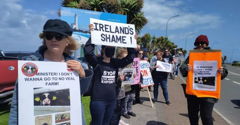 Please join us at @Rosslareuroport this Friday at 15:00 in front of the port entrance. We need to send a message to @StenaLineUKIE that this cruelty must end! #EnoughIsEnough #StopLiveExport