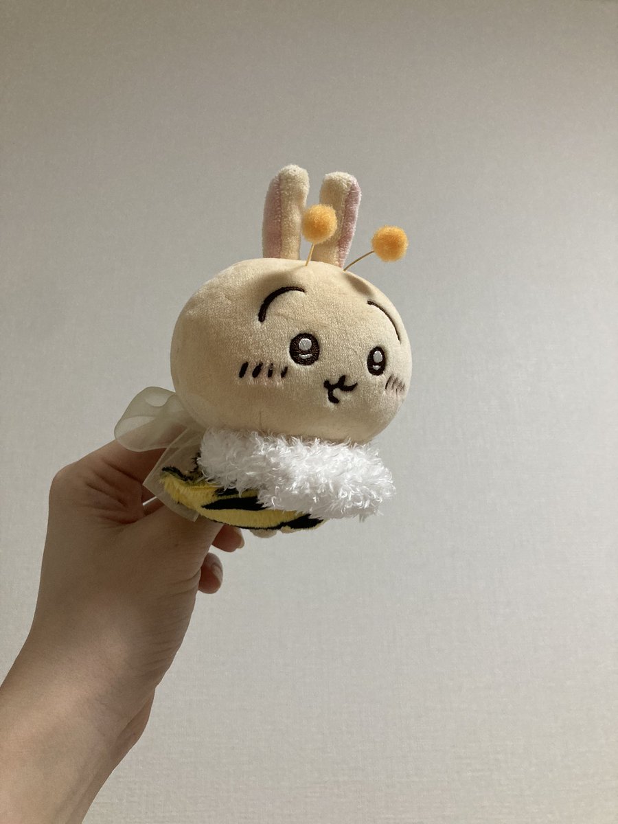 puruyaurauraura's tweet photo. ブーンブーン🐝 https://t.co/2BpHhQC9yZ