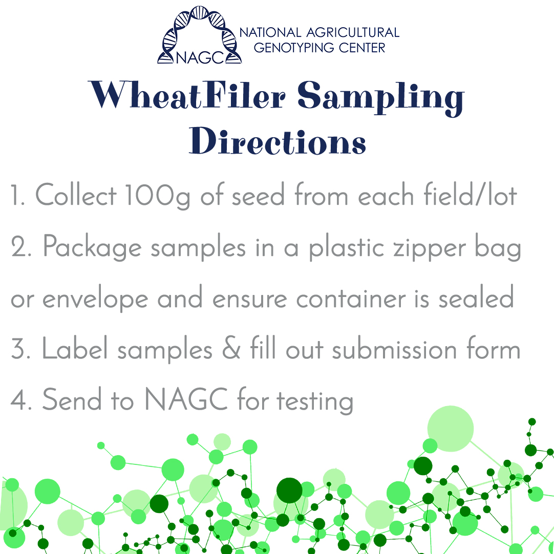 nagclab's tweet photo. Collecting samples for WheatFiler variety ID testing is as simple as placing 100 grams of seeds into an envelope or bag and sending them to NAGC! #NAGCLab #WeHaveATestForThat
For more detailed sample submission instructions WITH pictures, click here: https://t.co/jRYoSJztu5 https://t.co/RhNQgaQXdh