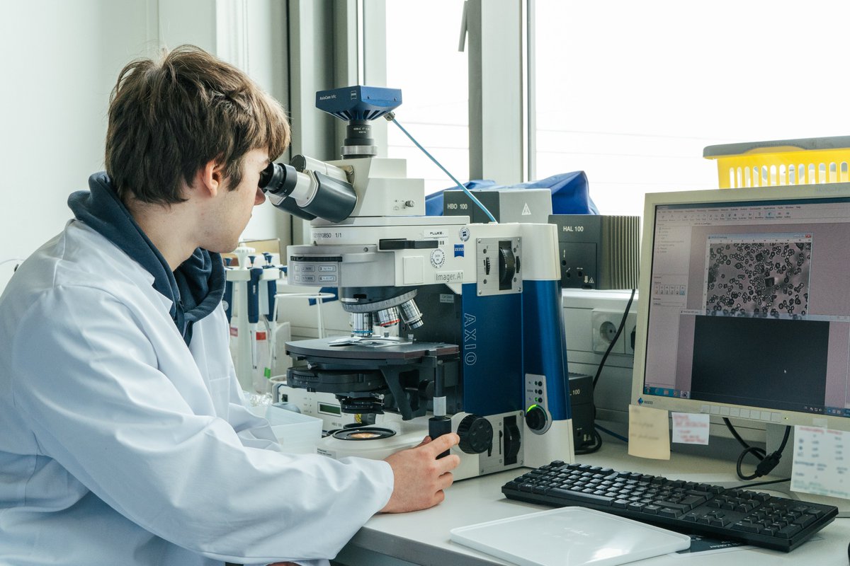 Kleines ganz groß: Die Schülerpraktikantinnen und -praktikanten @MPI_Magdeburg und @OVGUpresse lernen in dieser Woche u.a. wie sie kleinste Teilchen - Nanopartikel - herstellen können. #ChemischeVerfahrenstechnik #TechnischeKybernetik #Biotechnologie 👉 mpi-magdeburg.mpg.de/pm-2024-03-22-…