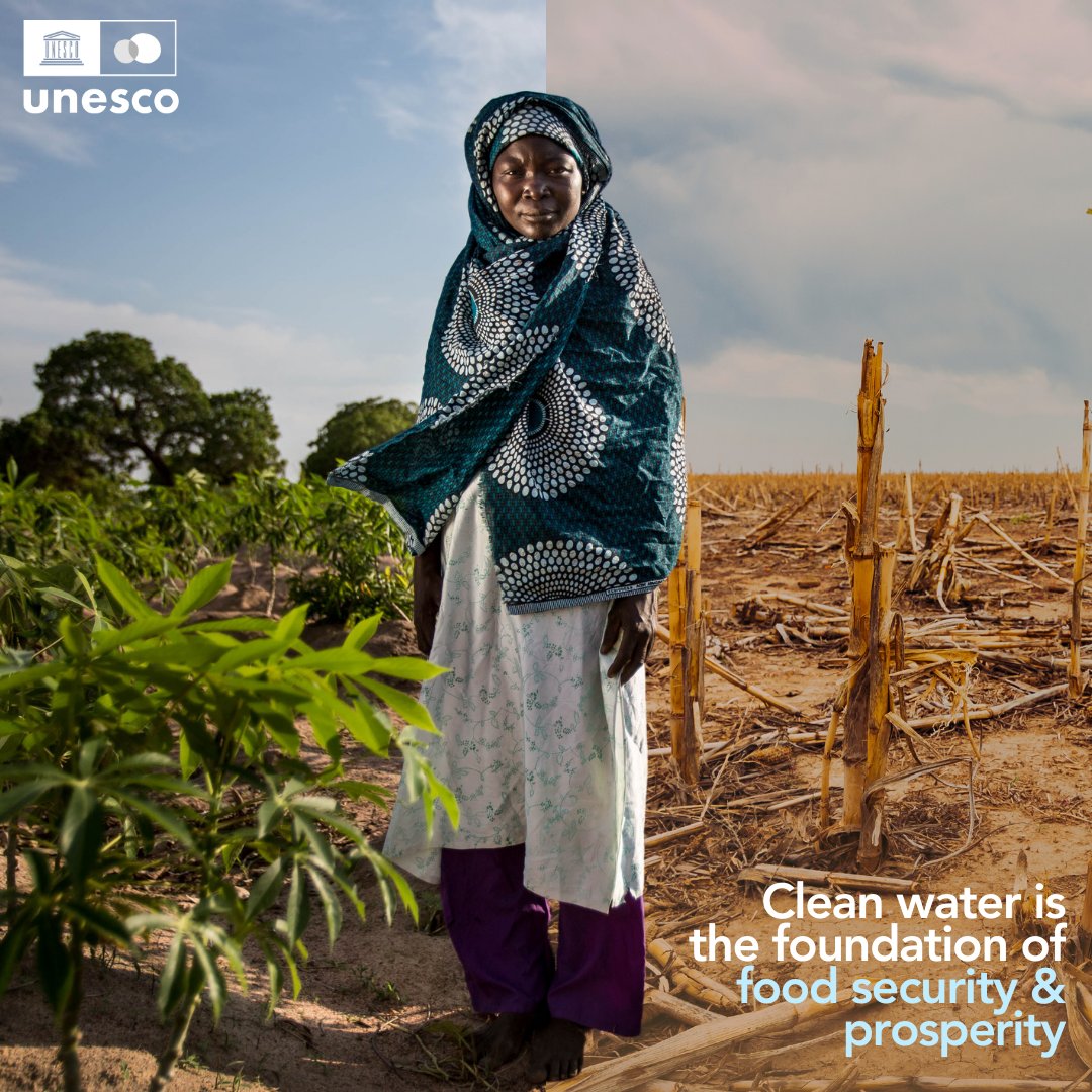 Water security💧 = food security👩🏼‍🌾 Water is essential for growing the crops that feed the planet and sustaining life as we know it. It is time to commit to protect this valuable resource & achieve #ZeroHunger‼️ 📖More: unesco.org/reports/wwdr/e… #WorldWaterReport #WWDR