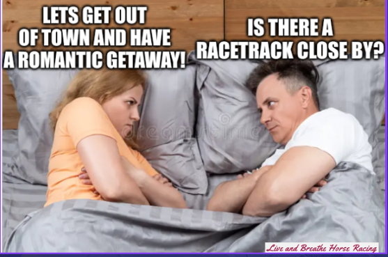 TRACKGABE's tweet photo. #horseracingmemes #trackgabe https://t.co/aTiWpXKLSC