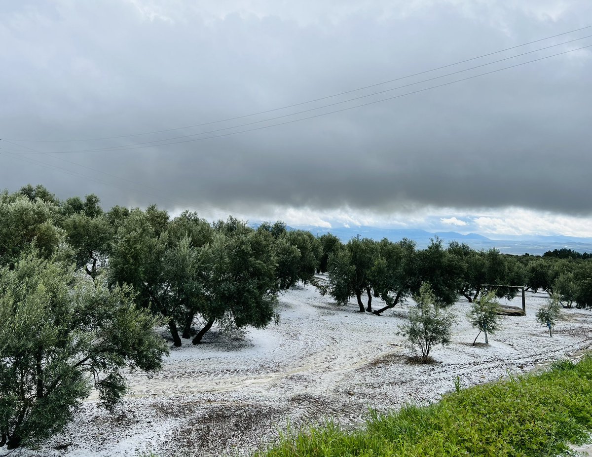 OleicolaJaen's tweet photo. Tremenda #granizada hoy en #Baeza #Jaén 

Una #SemanaSanta de lo más atípica ❄️🌨️☃️ https://t.co/m4ZYf9yMXg