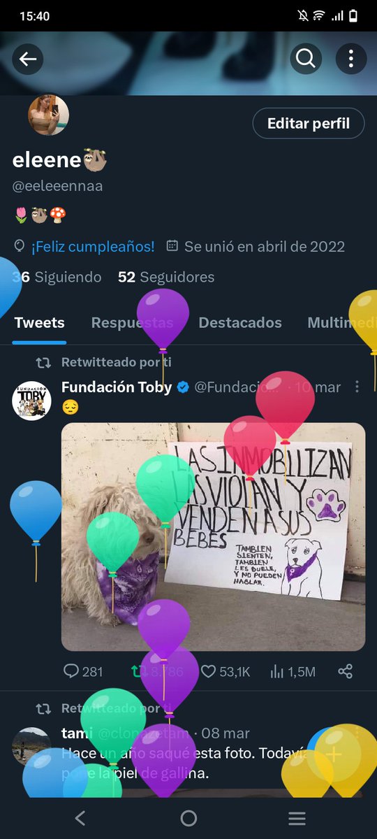 eleene🦥 tweet media