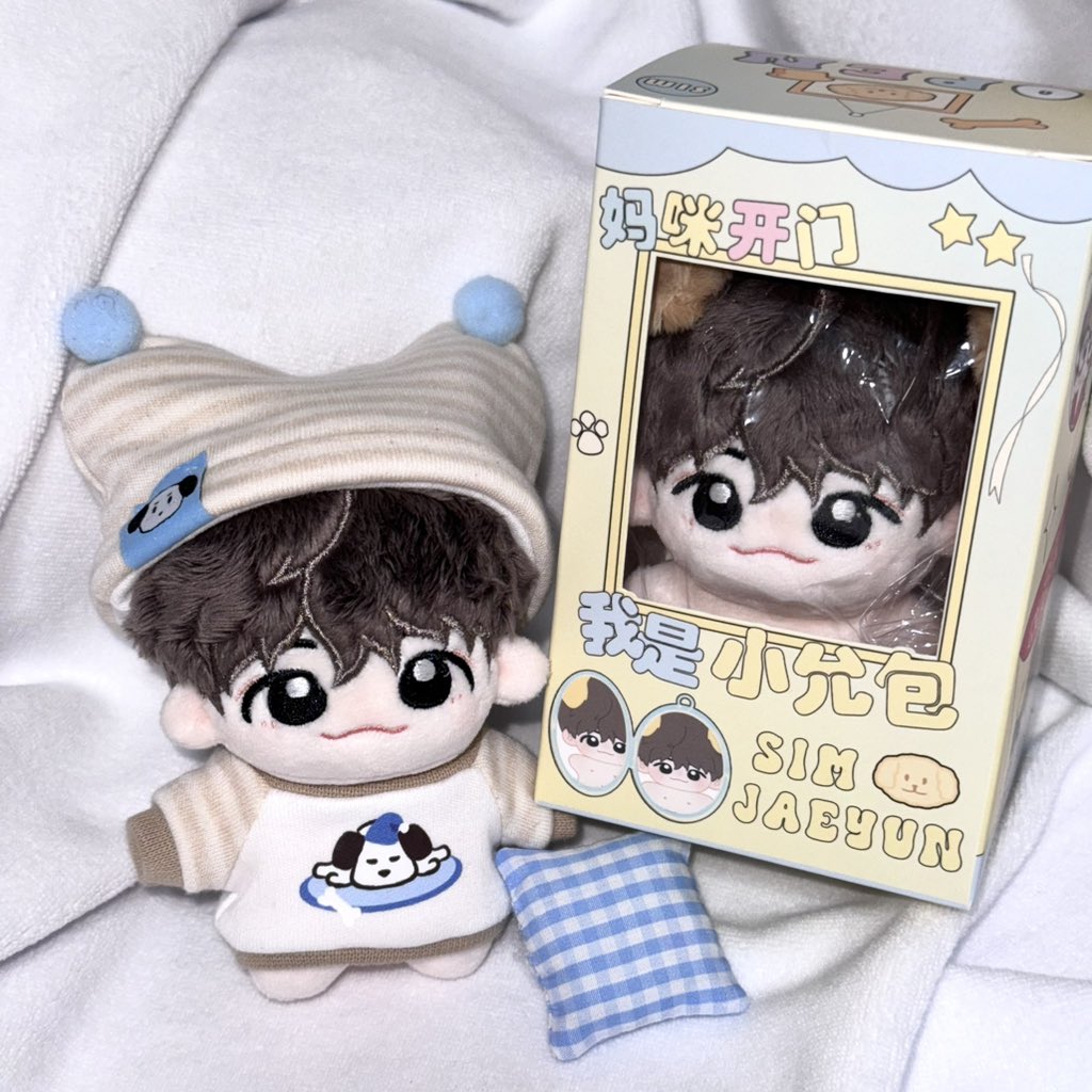 XiaoYun Bao (@1115XIAOYUNBAO) / Posts / X