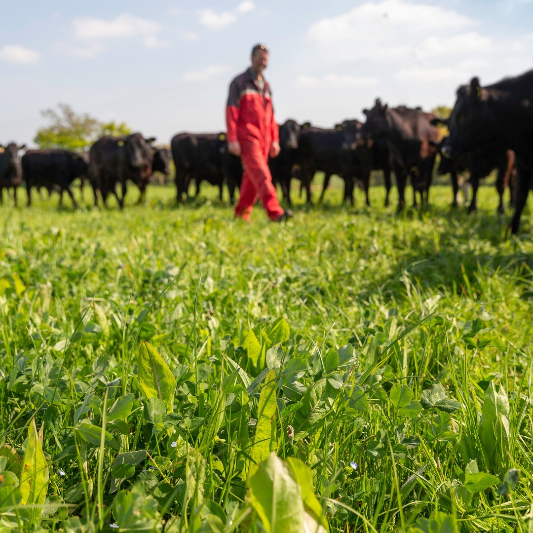 Germinal proudly sponsors three major awards that spotlight innovative grassland farmers driving sustainable livestock production. 

Are you making a difference in the industry? Enter now and share your success story: germinal.com/germinal-spons…… 

#BFA24 #FWA24