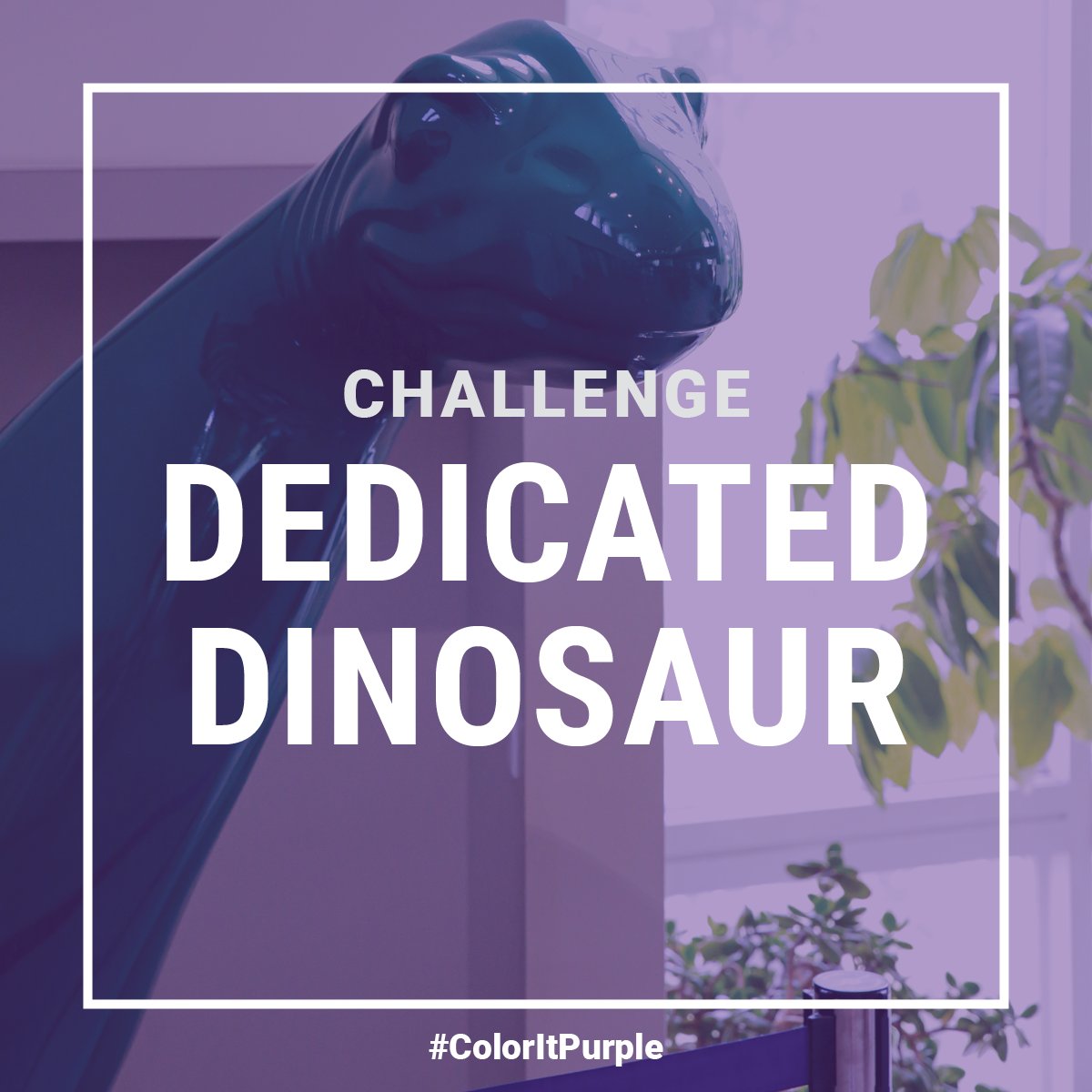 Norton is living his best life in Cole Library. He was brought here by alumni &amp; now watches over our students! 
If we have 50 donors between 7-9 p.m. Hilltop time we will unlock $5,000. Show Norton some love at crnl.co/coloritpurple #ColorItPurple #CIP10Years #CornellCollege