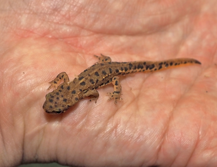 足元の悪い中、本日も多数のご来店・お買い上げ有り難うございました