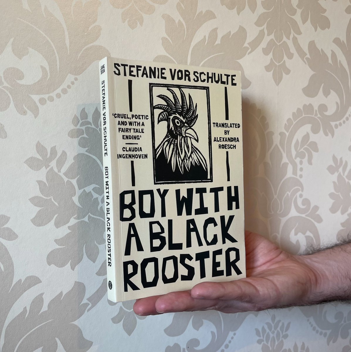 Advance reading copies of BOY WITH A BLACK ROOSTER are here and they look incredible! This is the story of one boy's quest to uncover a spate of kidnappings through a morally abhorrent landscape, physically ravaged by war and famine. Expect madness, horror and depravity!