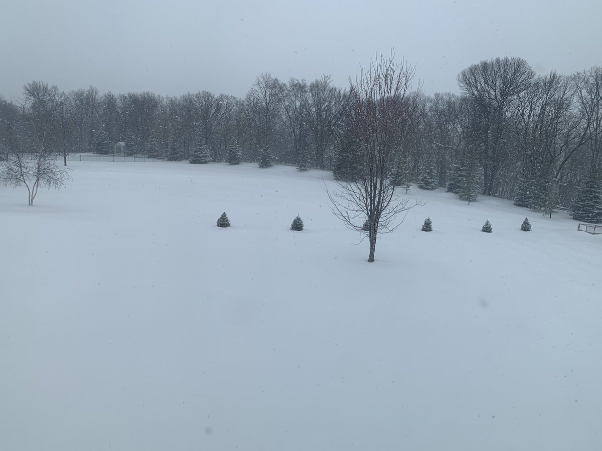 Peter Gasperlin tweet media