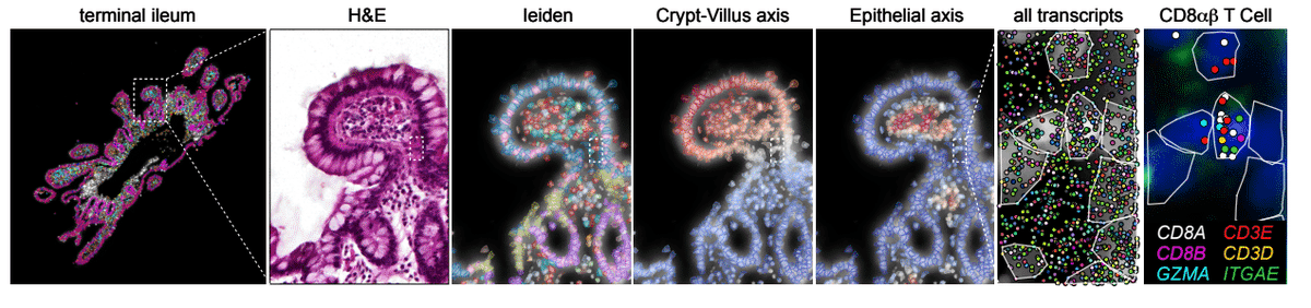 Alex Monell tweet media