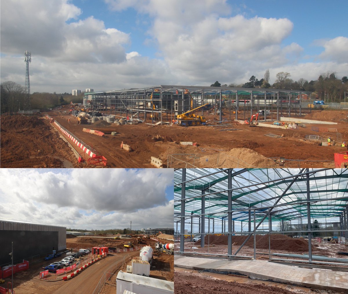 StFrancisGroup tweet media