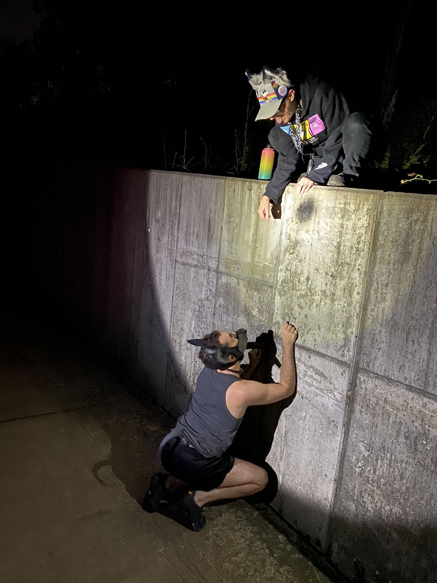 Champ_the_Fox's tweet photo. The photos from last nightβs hike almost look like a dramatic performance! A puppy reenactment of a Shakespearean play? Pup play play? πΎπ Awoooo~ #petplay #pupplay #puppyplay #getoutsideandplay https://t.co/StNjOMcYRY
