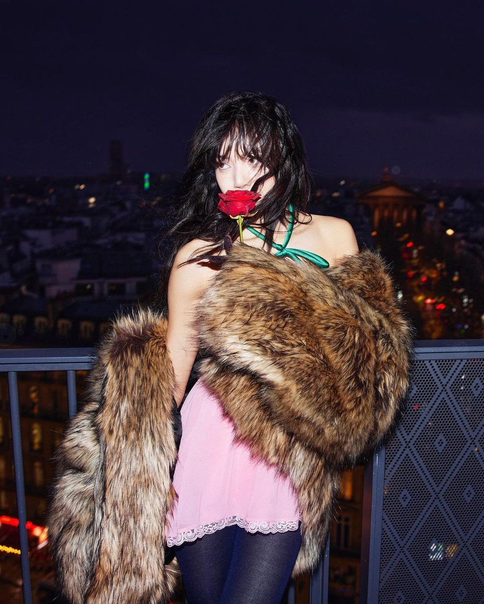 Lilies Home tweet media