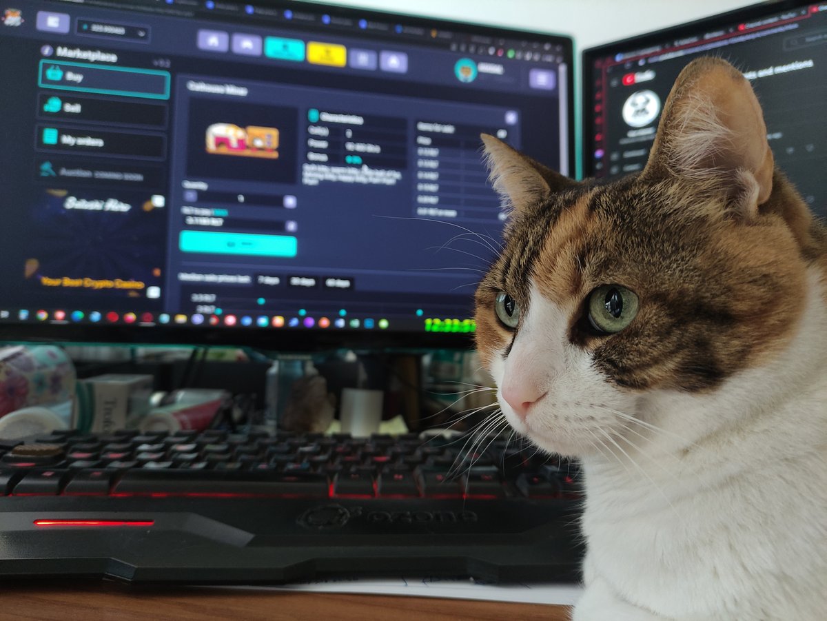 RollerCoin 🐹 tweet media