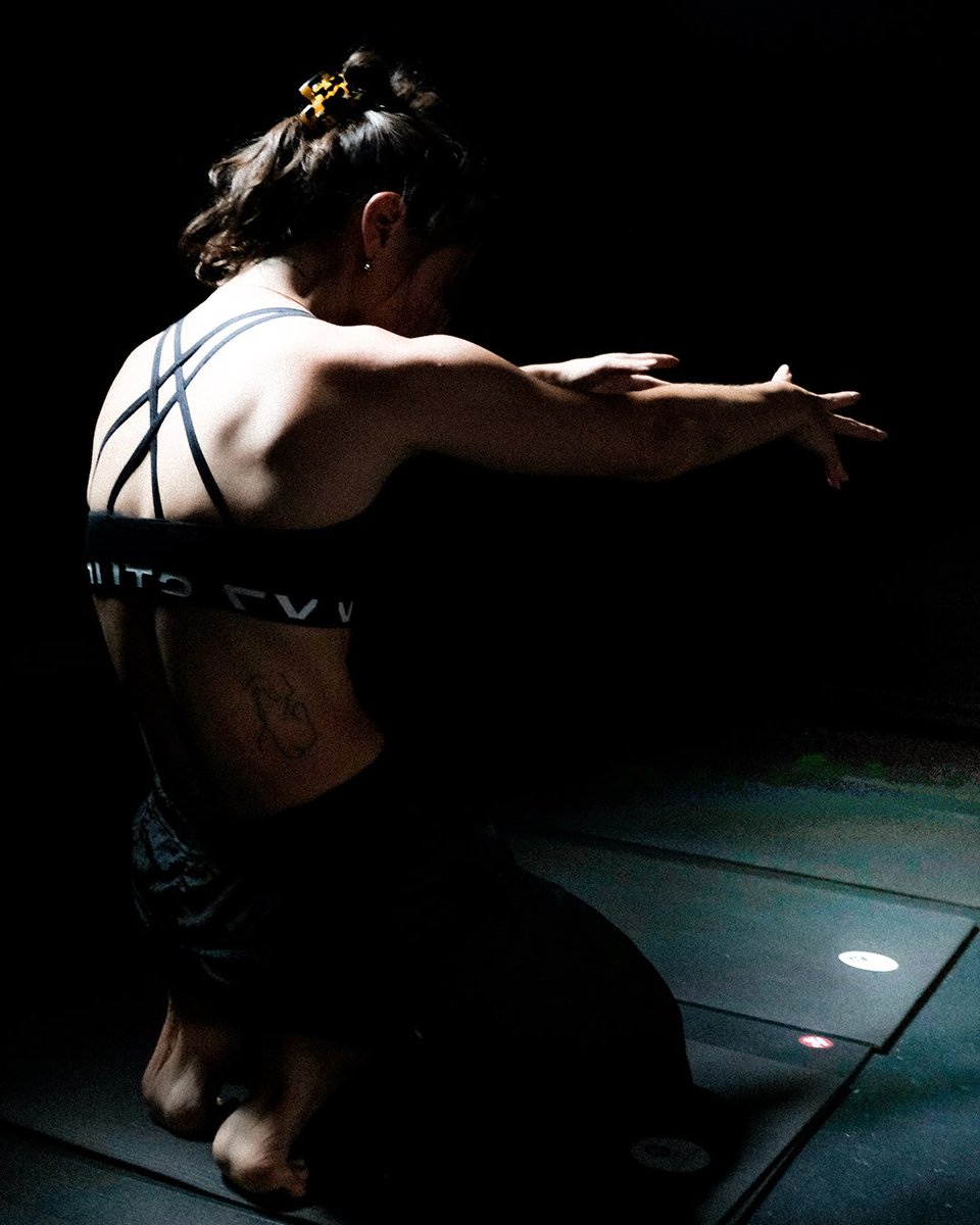 Y7 Studio® tweet media