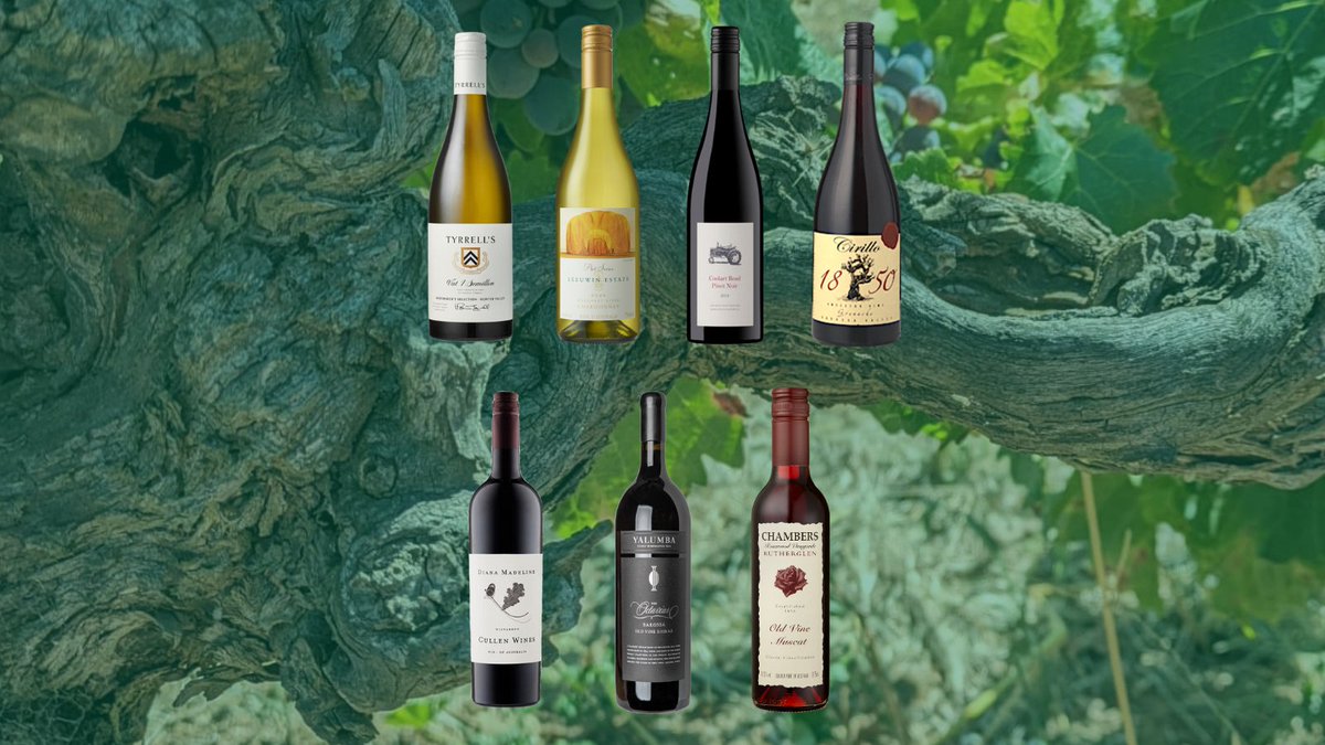 The wine list for our Australian old vine masterclass stars wines that represent the diversity of Australia's wine regions, and each with a unique story to tell. View the full wine list and register now: bit.ly/4a8vawG #mastersofwine