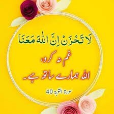 fatima tweet media