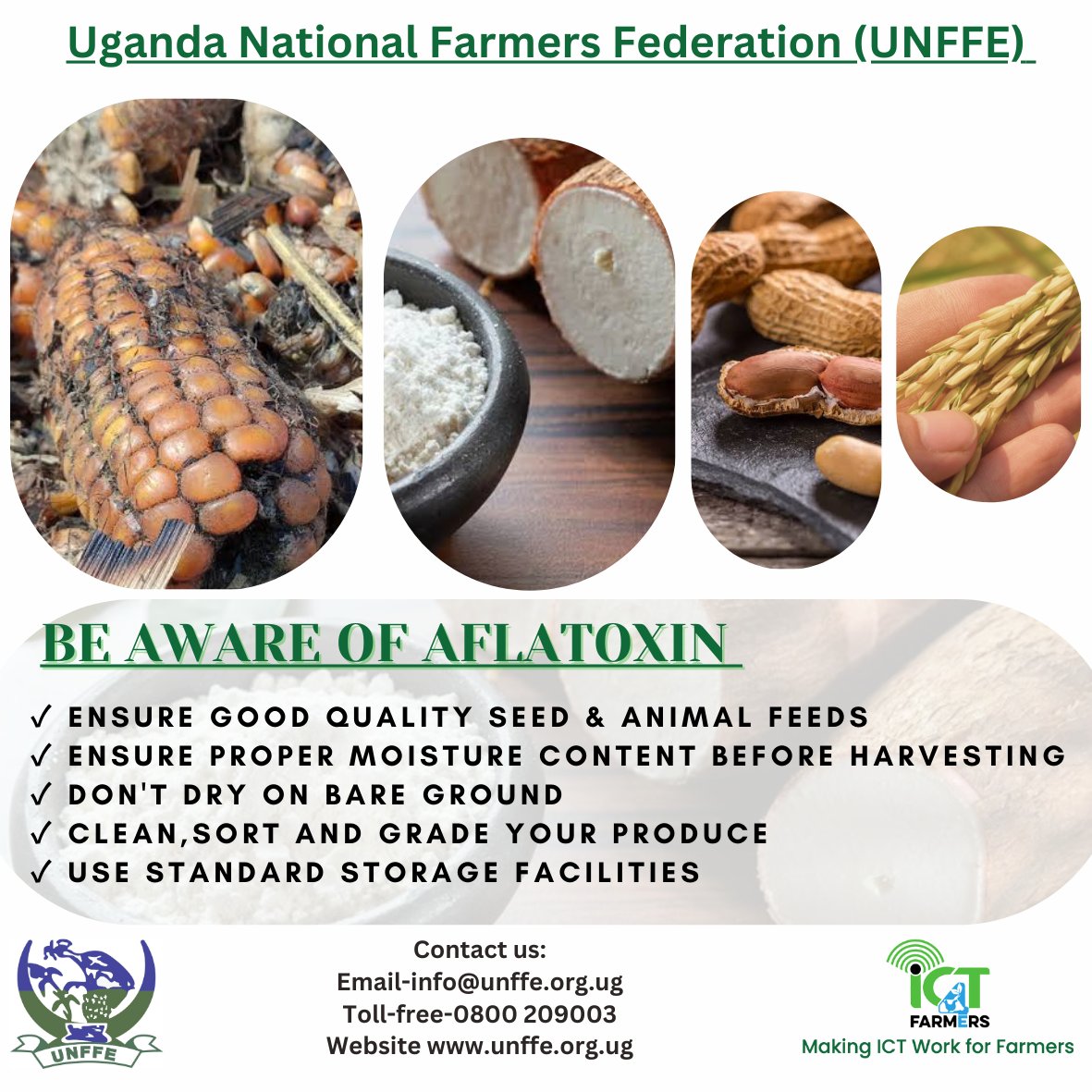 ATTENTION The issue of #Aflatoxin is a crisis situation more than Ebola, Cholera, Merburg, HIV/AIDS & COVID-19. It's slowly claiming many lives from all classes...rich or poor, young or old, educated or not. Let us be cautious ⚠️