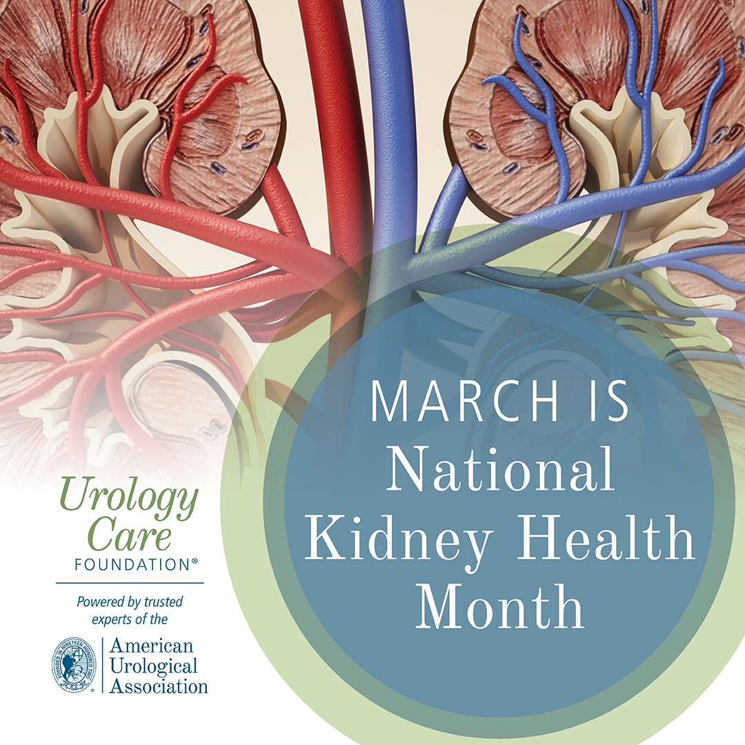 During National Kidney Health Month, UCF is devoted to sharing patient resources on kidney health. Will you help our efforts go further? Your support enables us to create and deliver vital information about caring for kidneys! ✨ Make an impact today ➡️ bit.ly/3PFGN6n