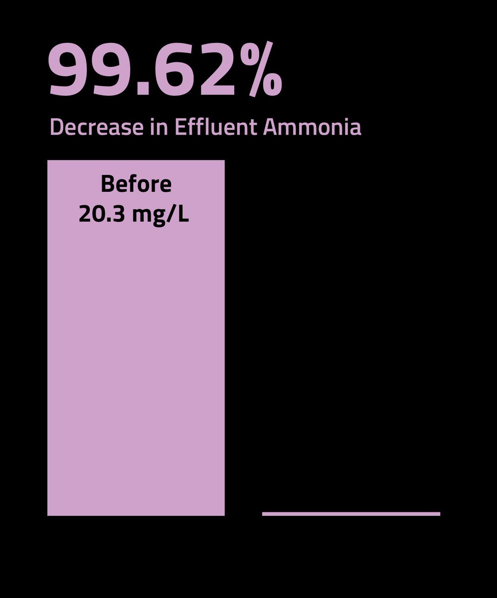 AquafixBugman's tweet image. Ever wonder how Nitrifier Pro works? 🧪 It boosts the nitrification process for quicker ammonia reduction. Dive into the science. buff.ly/3SW05Fm #WastewaterTech