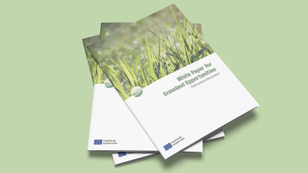 Introducing our #WhitePaper for Grassland  Opportunities! We discuss the importance of a supportive business environment and make recommendations for action at national and regional level and for support measures. #Grassland
Get your copy here: go-grass.eu/wp-content/upl…