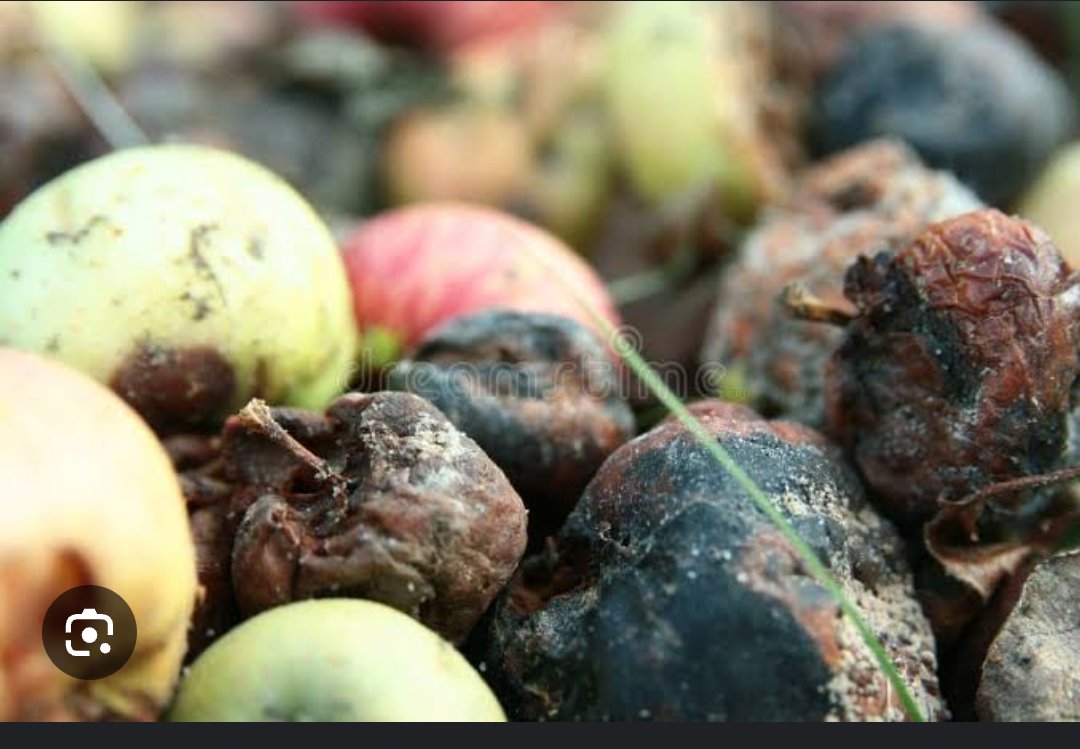 Ah, mas o problema são só algumas maçãs podres que atrapalham a boa imagem das polícias no Brasil.

As polícias no Brasil: