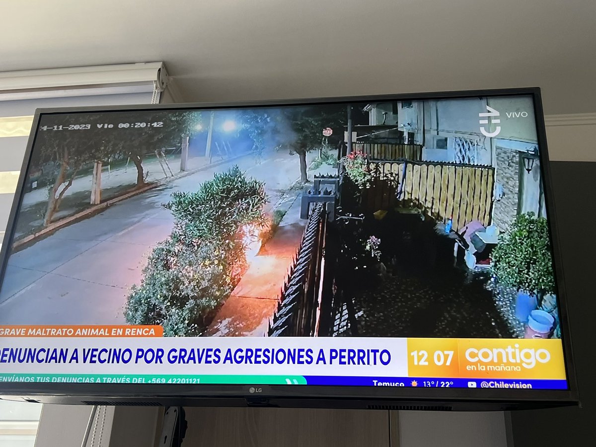 Maca Núñez tweet media