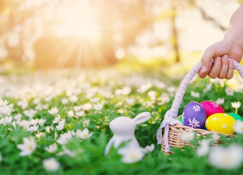 Spring has sprung! Before the busy season hits, we're going to take a slight pause to prepare. Our offices will be closed on March 29 in observance of Good Friday. Here's what you need to know if you need any support for your Lone Wolf software. buff.ly/3TGO2wi