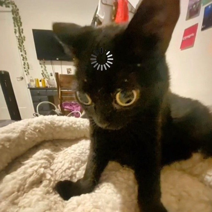 keepstudies's tweet image. ᯓ★ Como fazer revisões e não negligenciar mais essa etapa - a thread