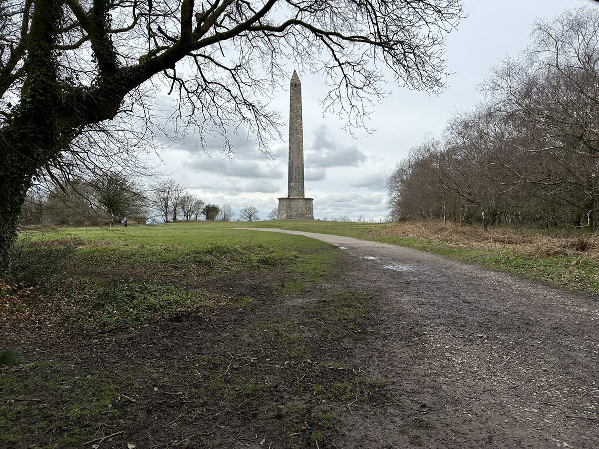 @somersetoutdoorNT
#wellingtonMonument #DandelionVanLife