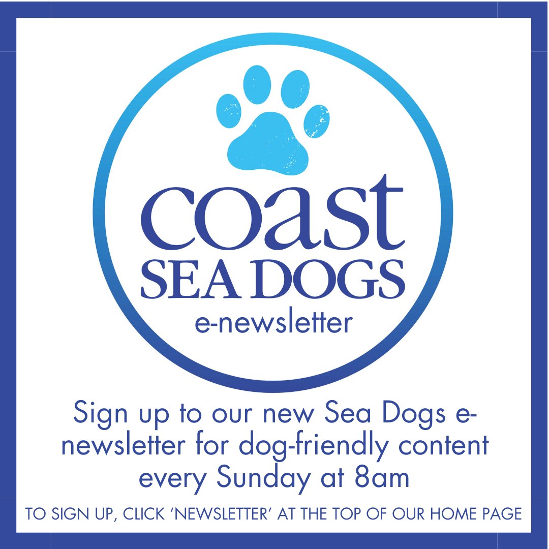 Introducing our latest e-newsletter - Sea Dogs, out every Sunday morning at 8am! 🐾⁠ ⁠For exclusive dog-friendly content including stunning staycation spots, dog-friendly products and news. ⁠Head to our website and click on 'Newsletter' at the top of the screen to subscribe.