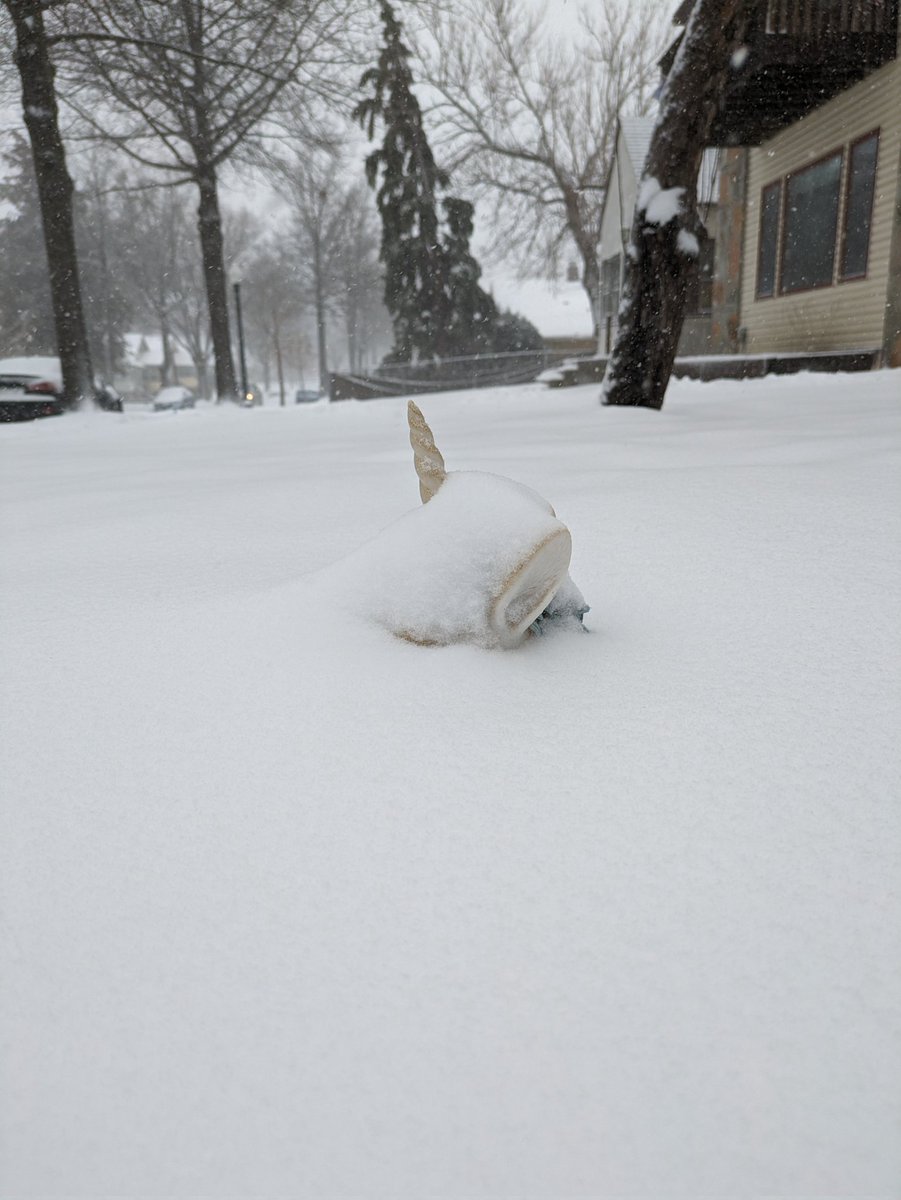 mandi042's tweet photo. 10:10am on Tuesday, rain compacted the snow yesterday, but we're getting a fluffy layer on top today. #mnwx https://t.co/gr7lNbeuZE